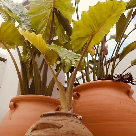 Gæstehus Boutique Plaza Cantarero Nerja