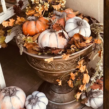 Boutique Plaza Cantarero