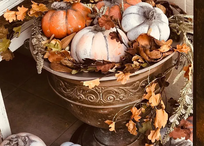 Boutique Plaza Cantarero